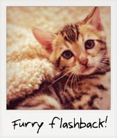 A furry flashback!