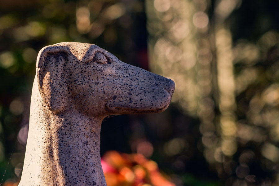 Haunted dog statue DisneyLand photo