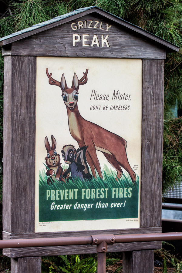 DisneyLand Prevent forest fires sign photo