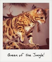 Queen of the Jungle!