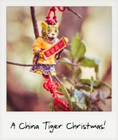 A China Tiger Christmas!
