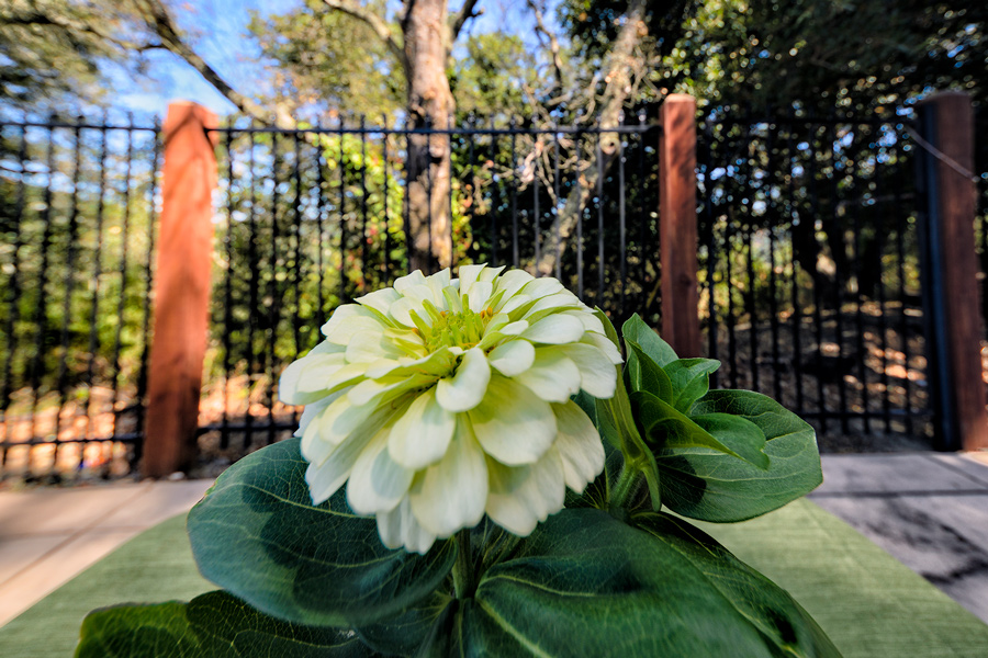 Today's Action Photo