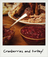 Cranberries and turkey!