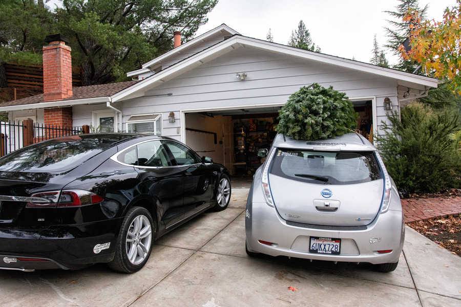 Christmas tree on car photo