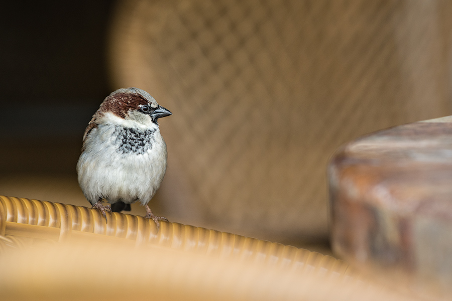 Today's Action Photo