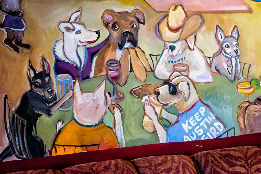 Today's Action Photo