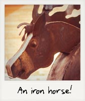 An iron horse!