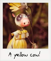 A yellow cow! A yellow cow!