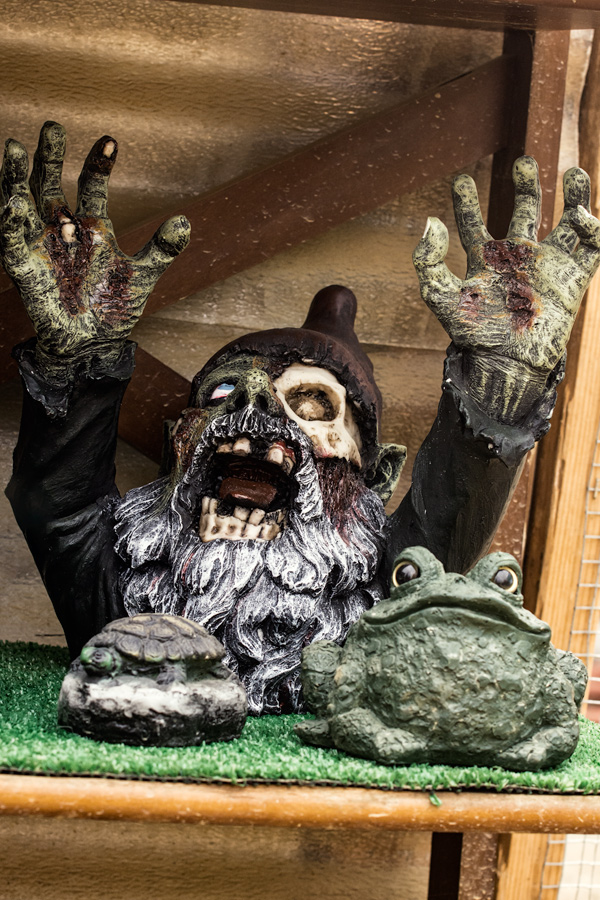 Zombie garden gnome photo