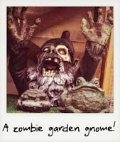 A zombie garden gnome!