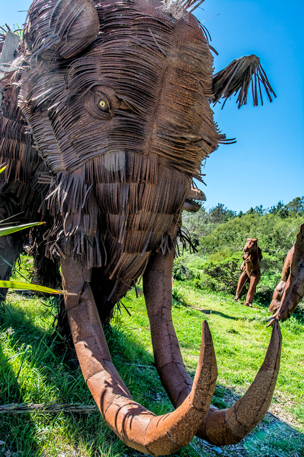 Rusted metal woolly mammoth photo