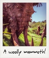 A woolly mammoth!