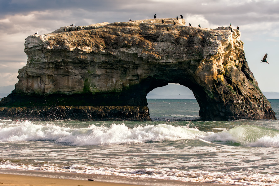 Natural Bridges State Beach photo