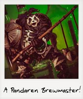A Pandaren Brewmaster! A Pandaren Brewmaster!