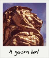 A golden lion! A golden lion!
