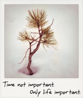Time not important, only life important!