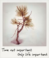 Time not important, only life important! Time not important, only life important!