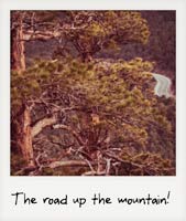 The road up the mountain!
