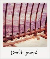 Don't jump! Don't jump!