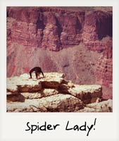 Spider Lady!