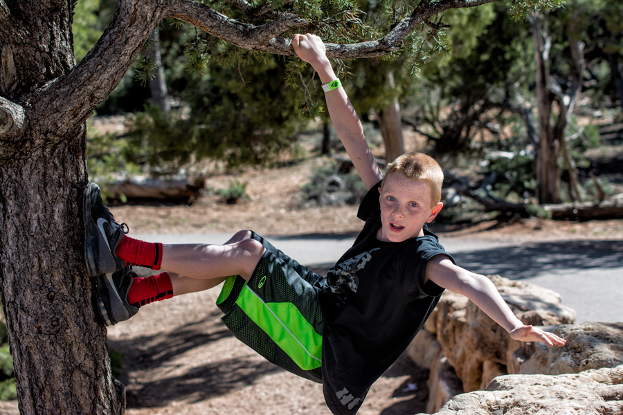 Child hanging from tree branch at Grand Canyon photo