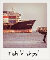 Fish 'n' ships!