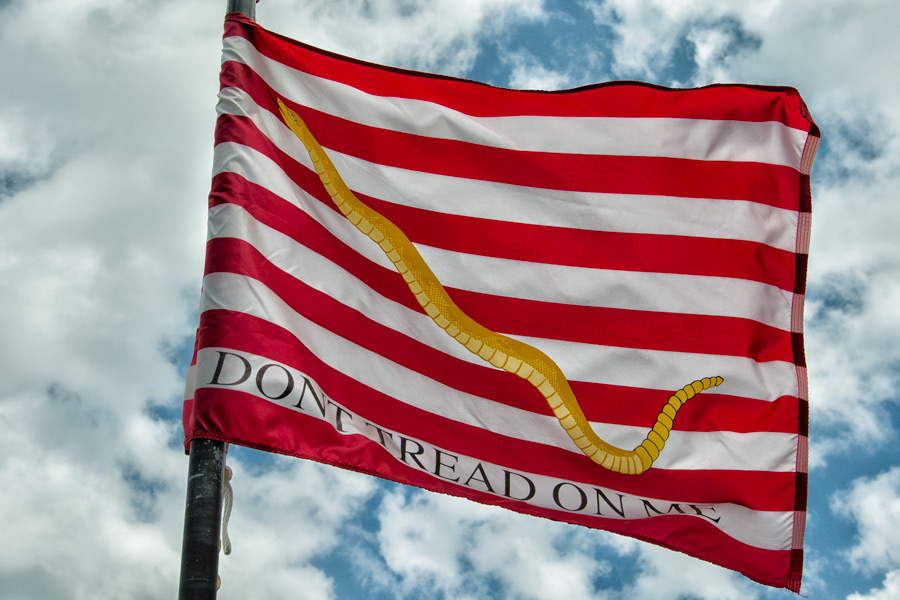 Don't tread on me flag photo