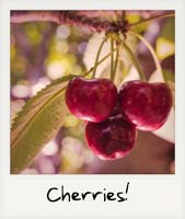 Cherries!