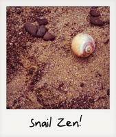 Snail Zen!