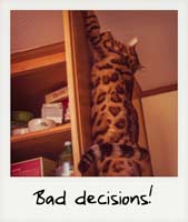 Bad decisions!