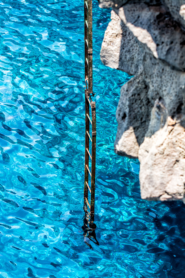 Today's Action Photo