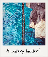 A watery ladder!