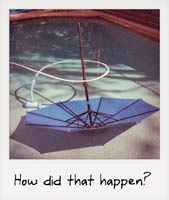 How did that happen? How did that happen?