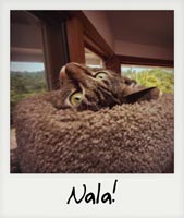 Nala!