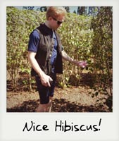 Nice Hibiscus!