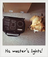 His master's lights!