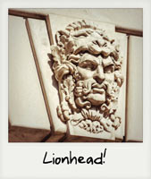 Lionhead!