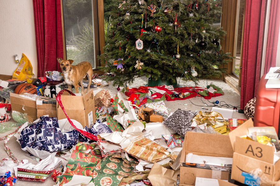 Maverick with unwrapped gifts photo