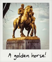A golden horse!