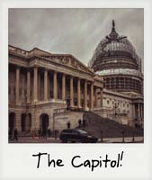 The United States Capitol!