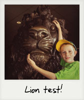 Lion test!