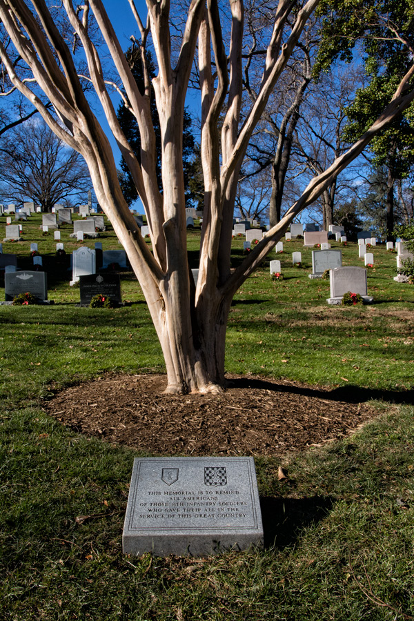 16th Infantry Arlington Memorial photo