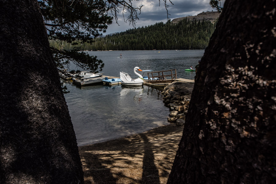Swan rental boat photo