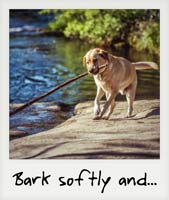 Bark softly and...
