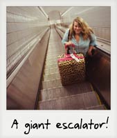 A giant escalator!
