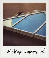 Mickey wants in!
