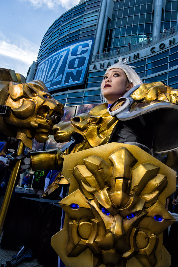 Crusader cosplay Blizzcon photo