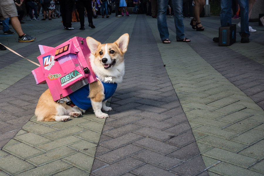 Dog MEKA cosplay Blizzcon photo