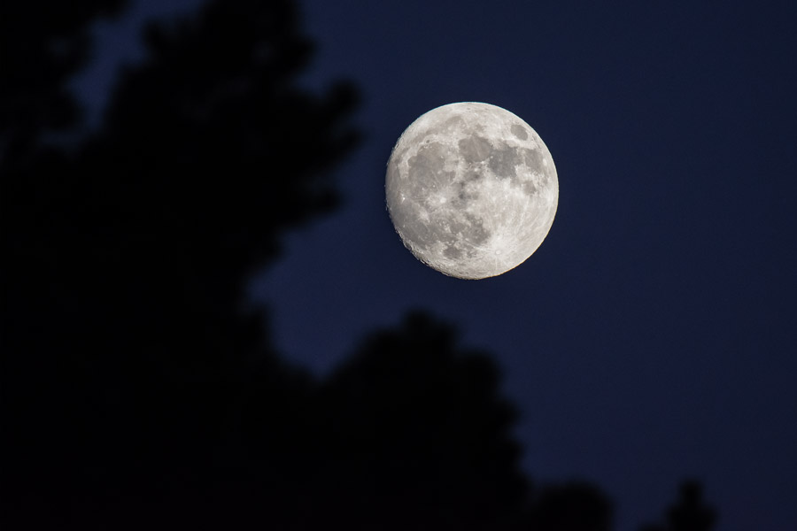 Supermoon photo