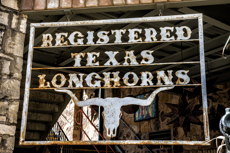 Registered Texas Longhorns photo